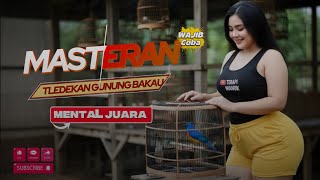 Download lagu Pelatihan/pancingan Tledekan Bakau  gacor mental juara mp3