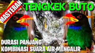 Download lagu MASTERAN TENGKEK BUTO NGEROLL,KOMBINASI SUARA AIR MENGALIR..UNTUK TERAPI SUASANA TENANG PADA BURUNG mp3 Download lagu MASTERAN TENGKEK BUTO NGEROLL,KOMBINASI SUARA AIR MENGALIR..UNTUK TERAPI SUASANA TENANG PADA BURUNG mp3
