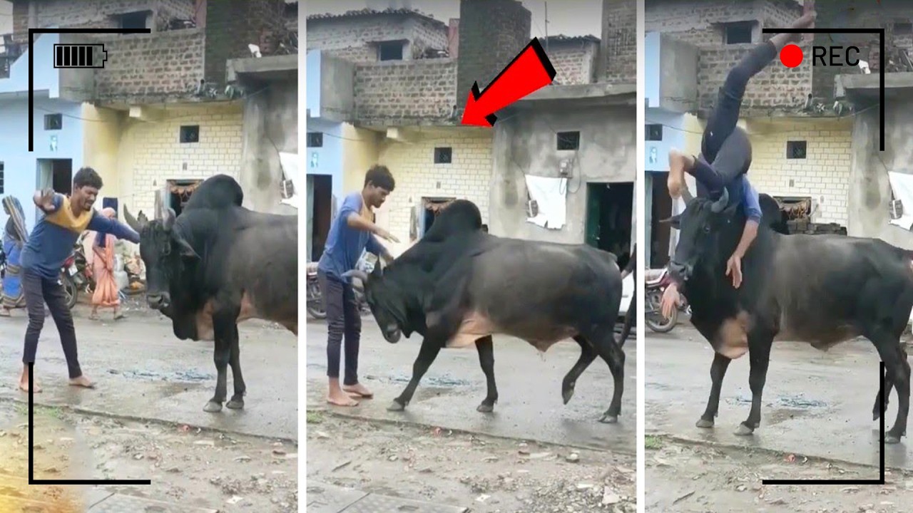 ما حدث لهؤلاء الأشخاص أمام الكاميرا جعل الجميع يضحكون!!
