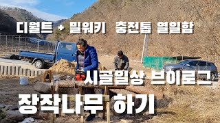 [시골일상 브이로그] 장작나무 하는날. 디월트 + 밀워키 충전톱 총출동