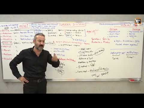 Tarih dersinde Sandıklı,  Adalya dinlenme Tesisleri ve Ekinhisar köyü...