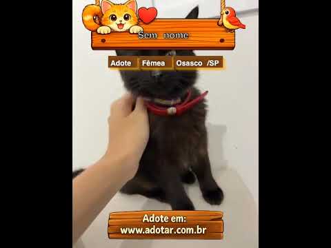 Vídeo de Sem nome