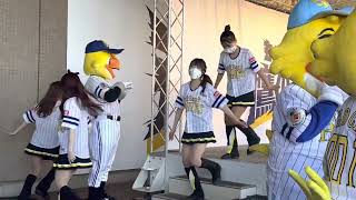 鷹の祭典?兄弟けんか？