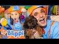 Blippi S Puppy Playdate Adventure With Layla And Myka Blippi S Ultimate Playdate Videos For Kids