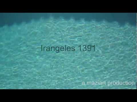 Irangeles 1391