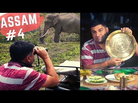 EP 4 Manas national Park wild life safari Assam,  | Bell metal industry Sarthebari