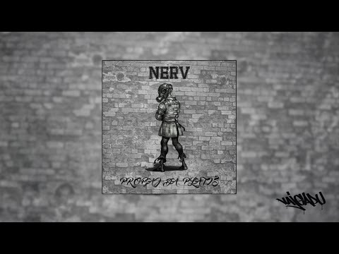NERV - Probaj da platiš  (2016)