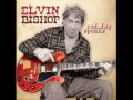 Elvin Bishop - His Eye Is On The Sparrow