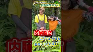 「茗荷の超簡単長期保存方法」と「内臓脂肪」にアプローチする超簡単茗荷レシピ！誰でも簡単に大量の茗荷を保存できます！　#金子貴俊 #谷麻帆 #茗荷 #長期保存 #内臓脂肪 #茗荷の甘酢漬け
