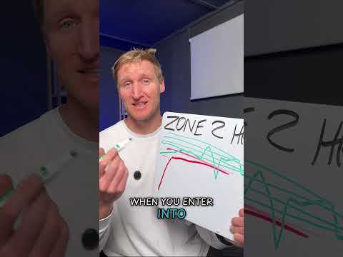 Is it really a zone 2 run?