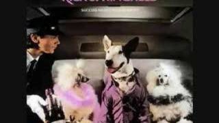 Rick Springfield - Tonight