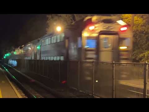 5:35 AM Radburn dead head