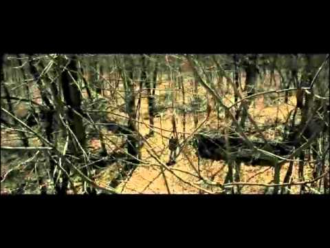 SHELTER Trailer deutsch - Ab 3.Dezember 2010 auf DVD und BluRay