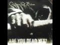 Children of Bodom - Are You Dead Yet? (2005 ...