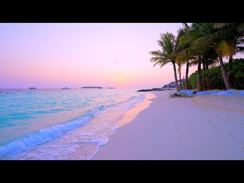 🏝 Paradise Found: Maldives Beach and Crystal Turquoise Waters. Ocean 4K Ultra HD