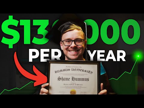 8 Highest Paying Bachelor Degrees (2024)