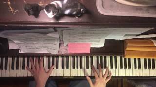 &quot;Seal Eyeing&quot; - Animal Collective (Piano Cover/Tutorial)