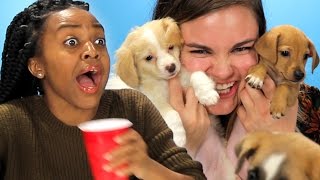 Drunk Girls Get Surprised With Puppies