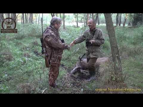 Hjorte jagt polen: Jagt i Polen: hunting in Poland; stag hunting Poland 2016