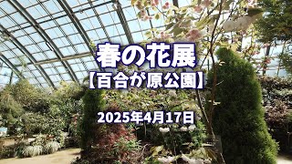 2025年4月17日 春の花展【百合が原公園】