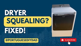 Fix a Squealing Dryer: Replace Idler Pulley & Rollers (DIY)