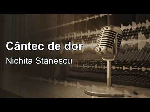 Cantec de dor, Nichita Stanescu