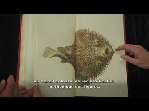 Les trésors de la BU Lyon 1