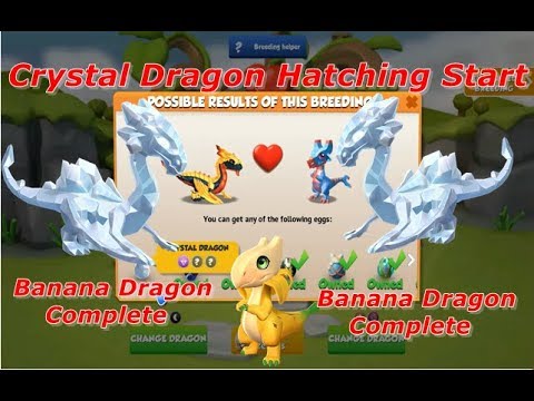 Crystal Dragon hatching start-Dragon Mania Legends | Complete Banana Dragon | DML | HD