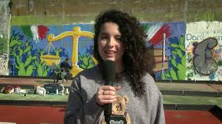 Video: Murales a Cropani
