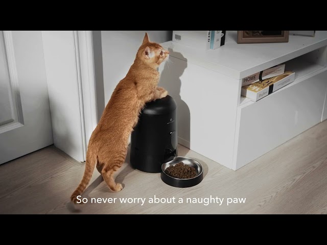 Video teaser per PETLIBRO AIR Feeder |  More Secure & Spill-proof