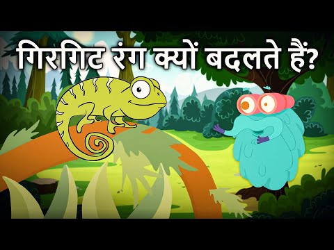 गिरगिट रंग क्यों बदलते हैं? | Why Does Chameleon Change Color In Hindi | Chameleon | Dr.Binocs Show