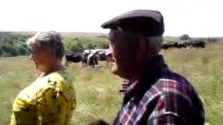 preview picture of video 'Dubrivka Sambir Pastures.MP4'