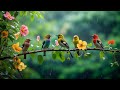 Beautiful Relaxing Music With Soothing Birds Singing Heal The Nervous System Naturally
