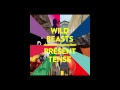 wild beasts / present tense / nature boy 