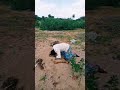 Tamil Sad Amma Song