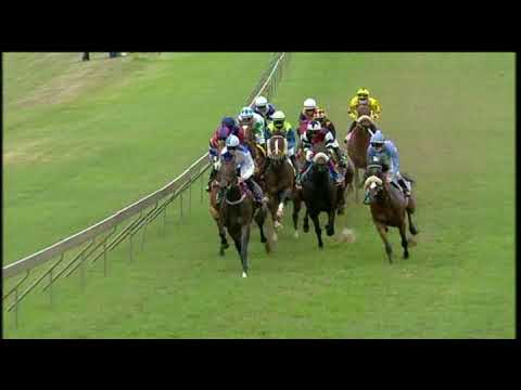 20210221 Hollywoodbets Scottsville express clip Race 8 won by FREESTATE STAR