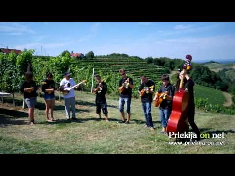 Tamburaška skupina Mlade strune