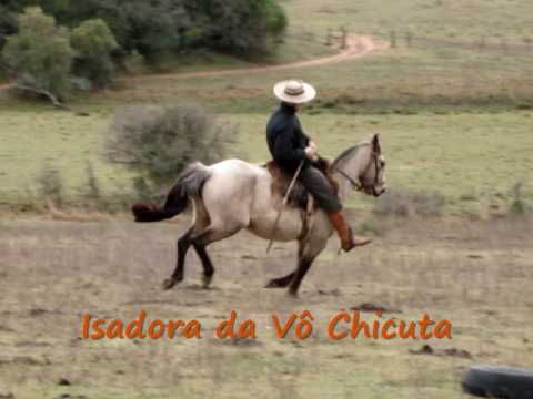 ISADORA DA VÔ CHICUTA