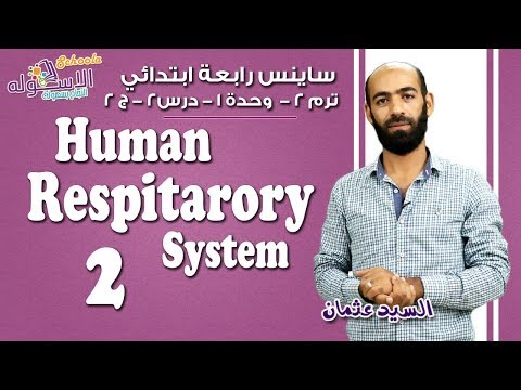 ساينس رابعة ابتدائي 2019 | Human Respiratory System | تيرم2- وح1 - در2-جزء2| الاسكوله