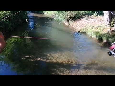 Pesca Bio-Bio, pesca de pequeñas truchas arcoiris en Estero el Peral, en Contulmo.