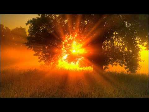 Tangerine Dream - Sun Son's Seal (Part 1) (John Ov3rblast Remix)