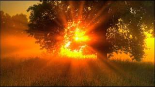 Tangerine Dream - Sun Son's Seal (Part 1) (John Ov3rblast Remix)