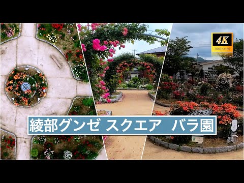 綾部グンゼスクエア のバラ園