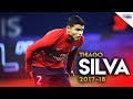 Thiago Silva - PSG - Defensive Skills - 2017/18 HD