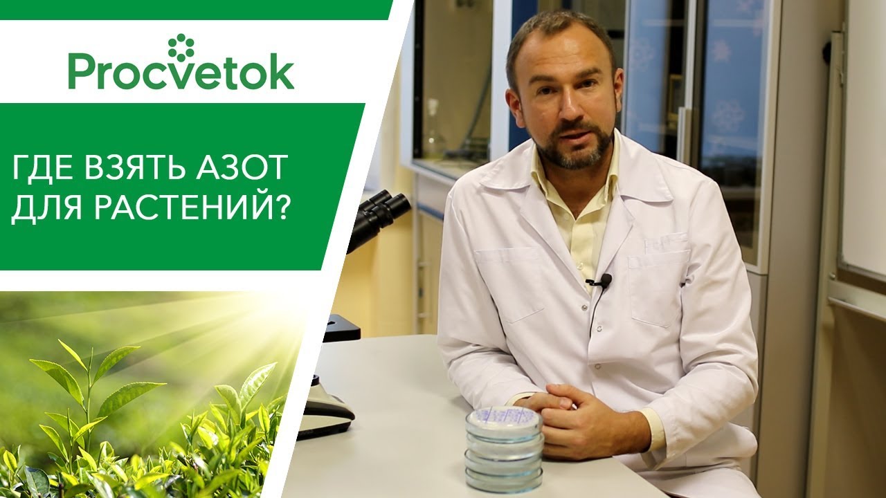 Это ценное удобрение для растений лежит у вас под ногами! Это ценное удобрение для растений лежит у вас под ногами!