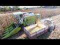 Claas Dominator 58 Corn Harvest Claas Dominator 58 Kukuruz 2018