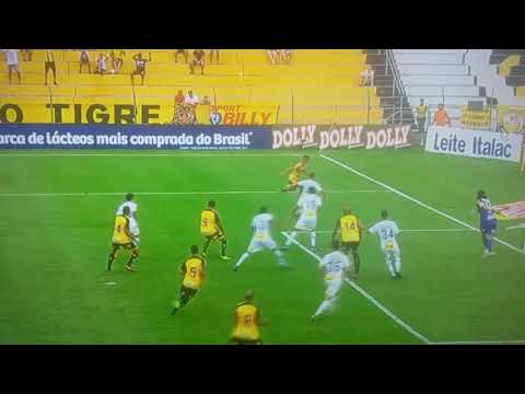 Novorizontino 1x0 Corinthians gol do Novorizontino