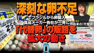 深刻な卵不足でブラジルから卵輸入!食品メーカー各社が一斉に「代替卵」の販路を拡大の動き!