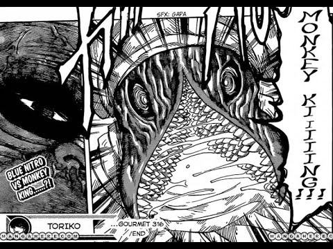 Toriko トリコ Chapter 316 Manga Review: Kaka vs Bambina incoming!!!