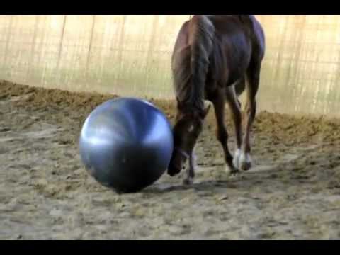 La Roche von Lord Loxley 1